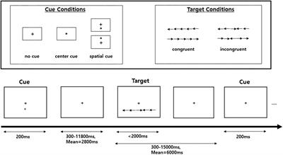 Enhanced Attentional Network by Short-Term Intensive Meditation